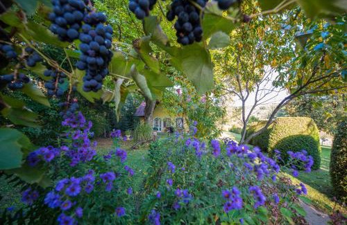 Pirching an der Raab House | Winemakers Escape