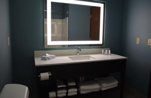 Southwood Valley Hotel | Wingate by Wyndham College Station South