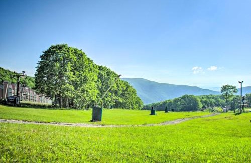 Wintergreen Apartment | Wintergreen Resort Studio with Deck and Ski-Out Access