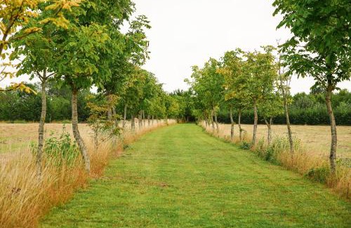 Patrixbourne House | Wisteria Lodge - Stylish Countryside Lodge on 25-Acre Estate