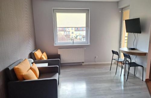Psie Pole Apartment | Witkowska-nocleg