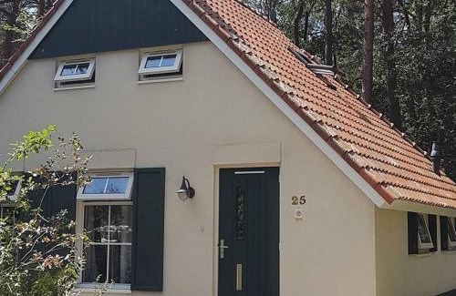 IJhorst House | wittebergen25