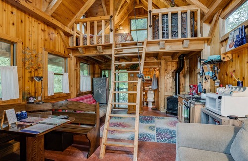 Upsala House | Wizard's LOTR Cabin: New Treehouse Addition! Pet-friendly.