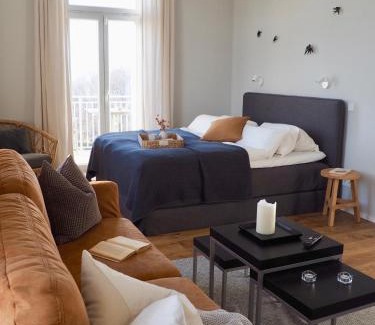 Niederloßnitz Apartment | Wohlfühl-Apartment am Lösnitzgrund