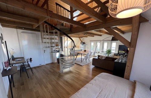 Bregenz Apartment | Wohlfühl Loft Doppelpack 2 Lofts Tür an Tür