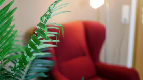 Dessau-Rosslau Apartment | Wohlfühlen in der Schifferstadt Roßlau