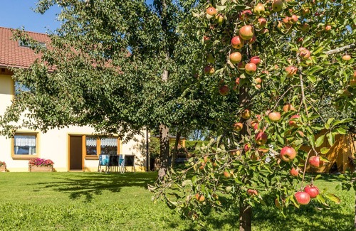 Hergensweiler Apartment | Wohnung 5 Morgensonne