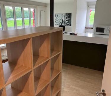 Meilen District Apartment | Wohnung Felix