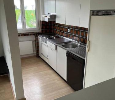 Meilen District Apartment | Wohnung Felix