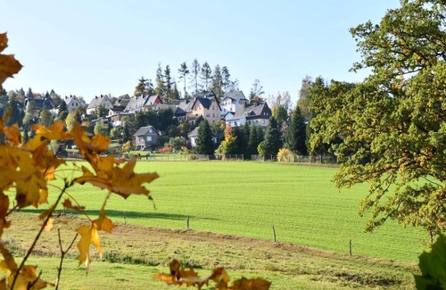 Ellefeld Apartment | Wohnung in Ellefeld nahe Skipisten