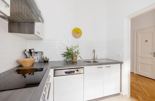 Rudolfsheim-Funfhaus Apartment | Wohnung Nahe Schönbrunn