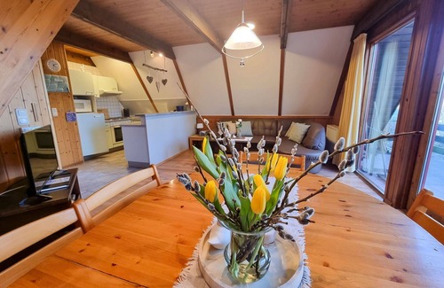 Bad Arolsen House | Wonderful private villa for 5 guests with WIFI, TV and patio