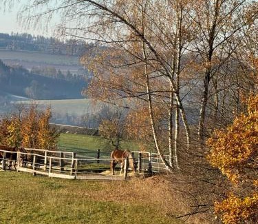 Slapy House | Wonderful Tiny house Hootka with fabulous view near Semily