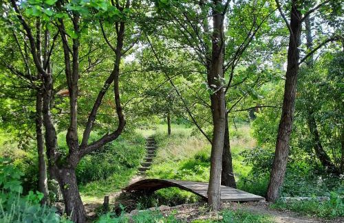 Rimetea Cabin | Wood Cabins in the heart of Transylvania
