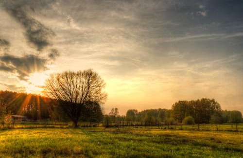 Gosen-Neu Zittau House | Woodhouse Spreewiesen