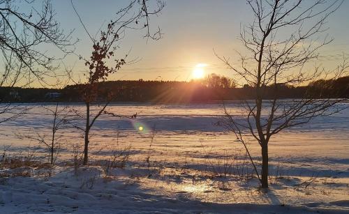 Gosen-Neu Zittau House | Woodhouse Spreewiesen