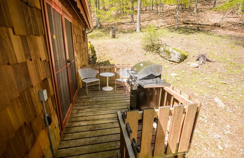 Boiceville Cabin | Woodland Cozy Cabin Catskills