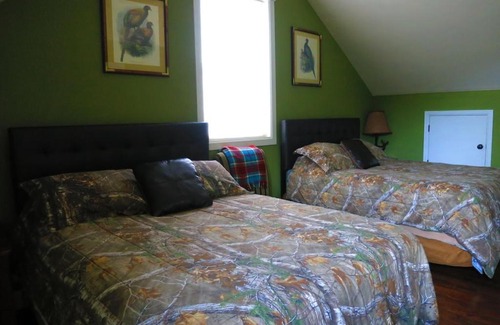 Sedalia Ski Chalet | Woodland Park Retreat Mountain Views, Crisp Mountain Air, Wildlife Viewing