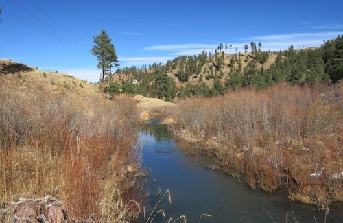 Sedalia Ski Chalet | Woodland Park Retreat Mountain Views, Crisp Mountain Air, Wildlife Viewing