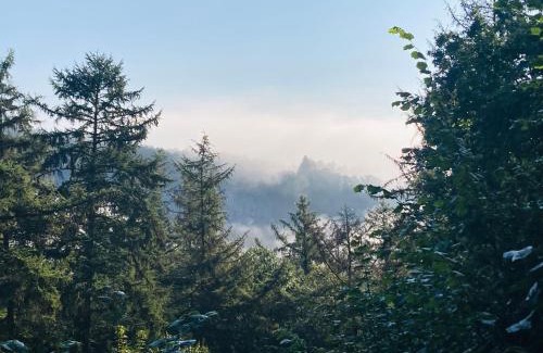 Blaimont Ski Chalet | Woody Lodge - Duplex Nature Bonsoy Ardennes