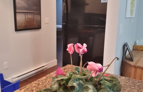 Ladysmith House | Words & Woods: a cozy, peaceful stay in beautiful Ladysmith B.C.