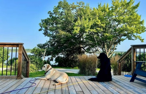Scugog House | Work from Cottage: bring pets and family to the lake house with premium office