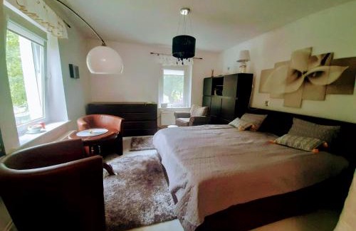 Walim Apartment | WYPOSAŻONY apartament przy strumyku w Górach Sowich, Smart TV, Odpocznij w naturze!