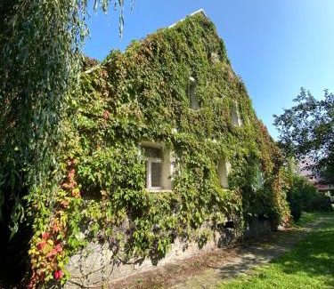 Radkow House | Wytchnienie
