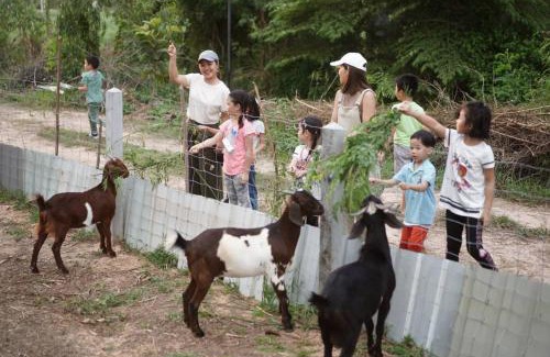 Buriram Resort | Xaiyong Resort - ไทรโยงรีสอร์ท