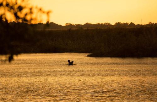Shakawe Cabin | Xaro Lodge