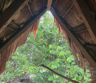 Tabatinga Other | Xingú Camping Site