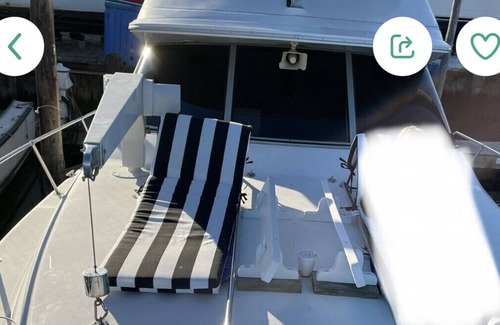 Freeport's Nautical Mile Boat Rental | Yacht 45ft with Tv and living room
