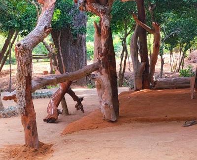 Palatupana Cabin | Yala Jungle Haven