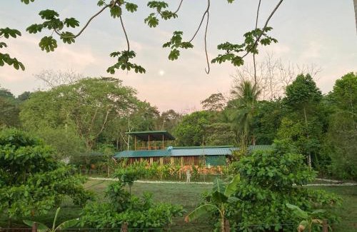 Puerto Jimenez House | YEJOS Jungle Lodge