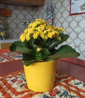 Quartiere Mazzini Apartment | Yellow Submarine