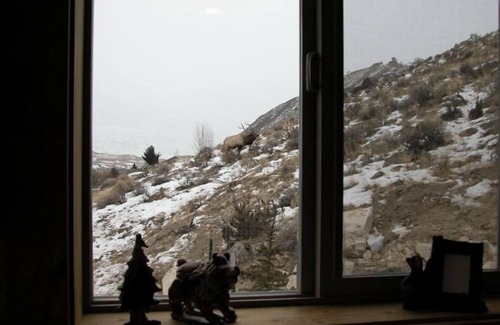 Gardiner House | Yellowstone North Gate House