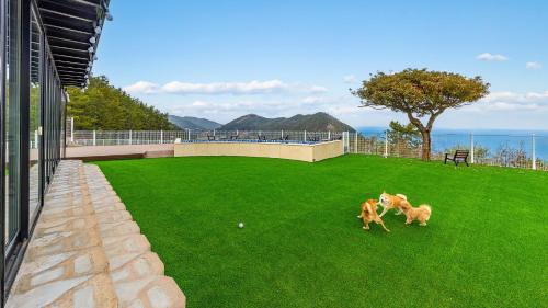 Dolsan-eup House | yeosu seuteimeong