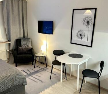 Jyvaskyla Apartment | Yksiö Jyväskylässä