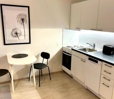Jyvaskyla Apartment | Yksiö Jyväskylässä