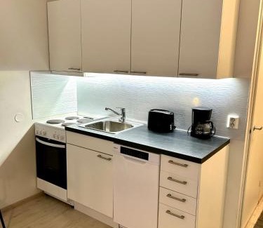 Jyvaskyla Apartment | Yksiö Jyväskylässä