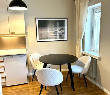Jyvaskyla Apartment | Yksiö Jyväskylässä keskustan tuntumassa