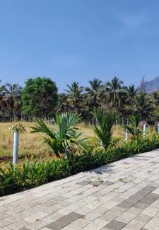 Wellington Bed & Breakfast | yoha9 premium resorts