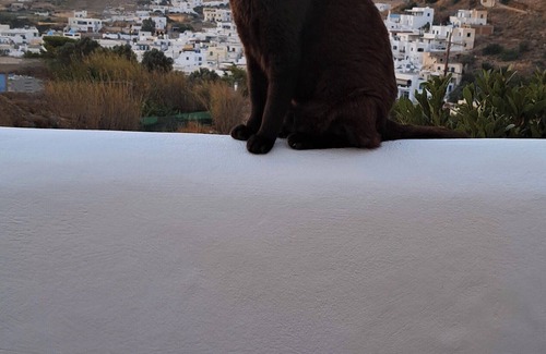 Vivlos Apartment | YouGa Nest – Cozy & Relaxing Stay with View in Naxos