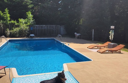 Easley House | Your Carolina Oasis Awaits- PETS FREE! Support Animal Welfare in the Carolinas