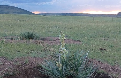 Granite Canon RV Rental | Your Claim for Frontier Days. The West, Uncrowded.