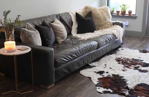 East Oak Hill Apartment | Your Modern + Comfy Home