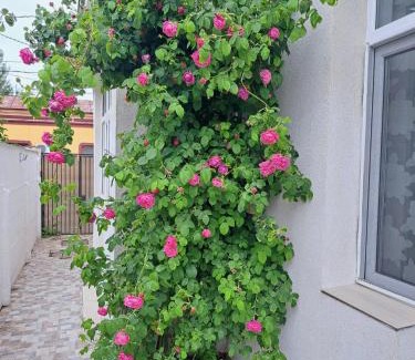 Constanta House | Yraida's house Constanta