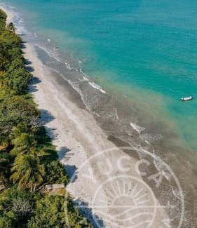 Tatuamunha Apartment | Yucca Tatuamunha - Naay