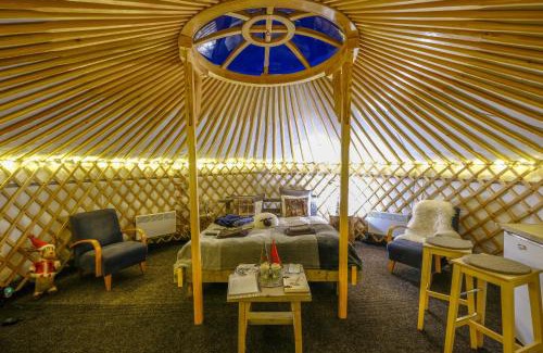 Sinetta Other | Yurt District