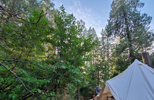 Woodfibre House | Yurt Glamping with Sauna, Movie setup, Kayak